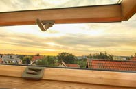 rated Letham roof window companies